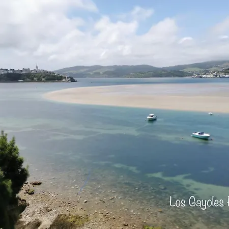 Grandes Duplex Nuevos Con Jardin Y Barbacoa - 3 Llaves, Gayoles Rural